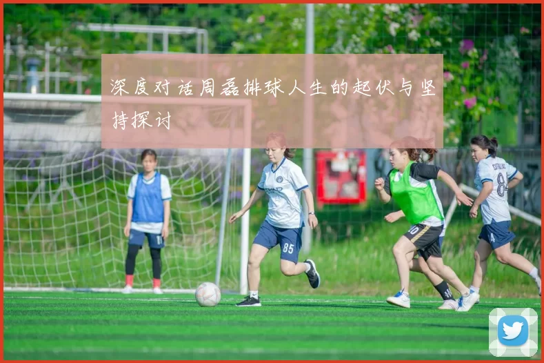 深度对话周磊排球人生的起伏与坚持探讨