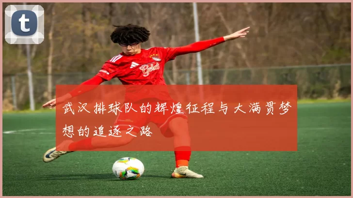 武汉排球队的辉煌征程与大满贯梦想的追逐之路