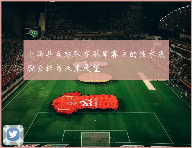 上海乒乓球队在冠军赛中的技术表现分析与未来展望