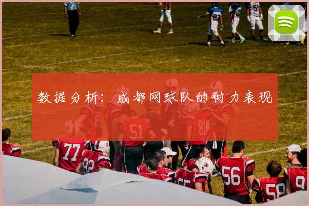 数据分析：成都网球队的耐力表现