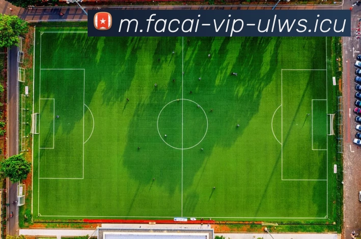 华体会体育注册APP 封面图